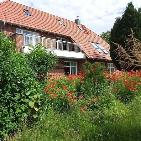 דירות Sehlen Ruhige Fewo Im Gruenen Mit Balkon, Terrasse Und Grossem Garten מראה חיצוני תמונה